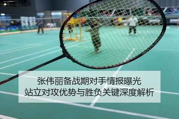 张伟丽备战期对手情报曝光 站立对攻优势与胜负关键深度解析