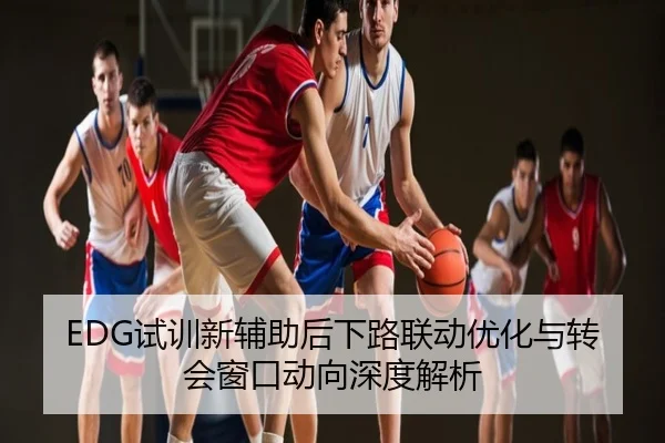 EDG试训新辅助后下路联动优化与转会窗口动向深度解析
